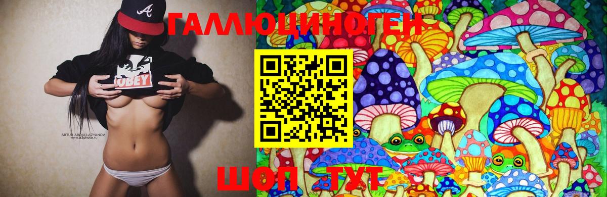 Псилоцибиновые грибы Cubensis  Пыть-Ях 