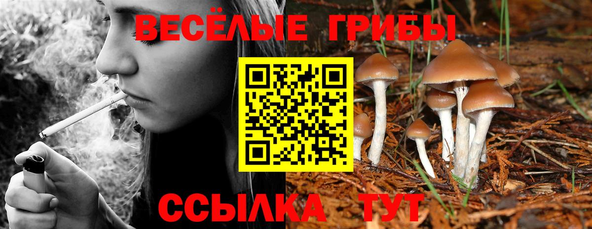 Галлюциногенные грибы мицелий Пыть-Ях